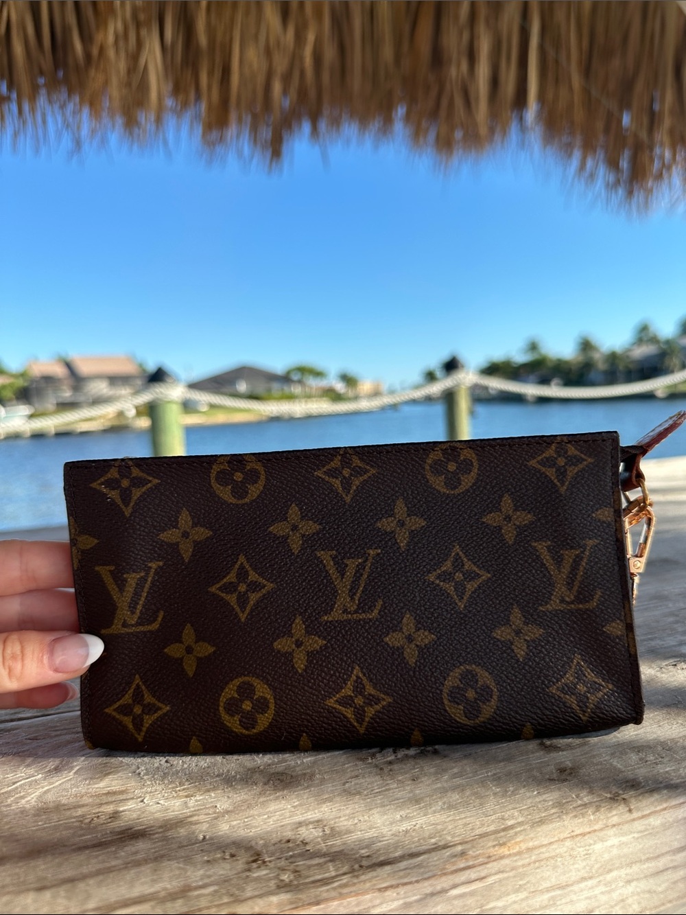 Louis Vuitton Monogram Canvas Pouch in Brown and Gold